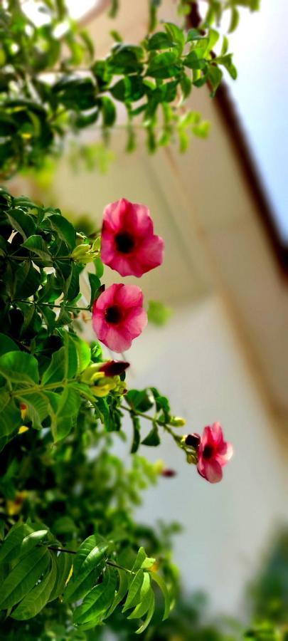 Dulaa Deema Residence Brufut Heights Tranquil Exterior foto